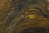 Polished Tiger's Iron Slab - South Africa #128521-1